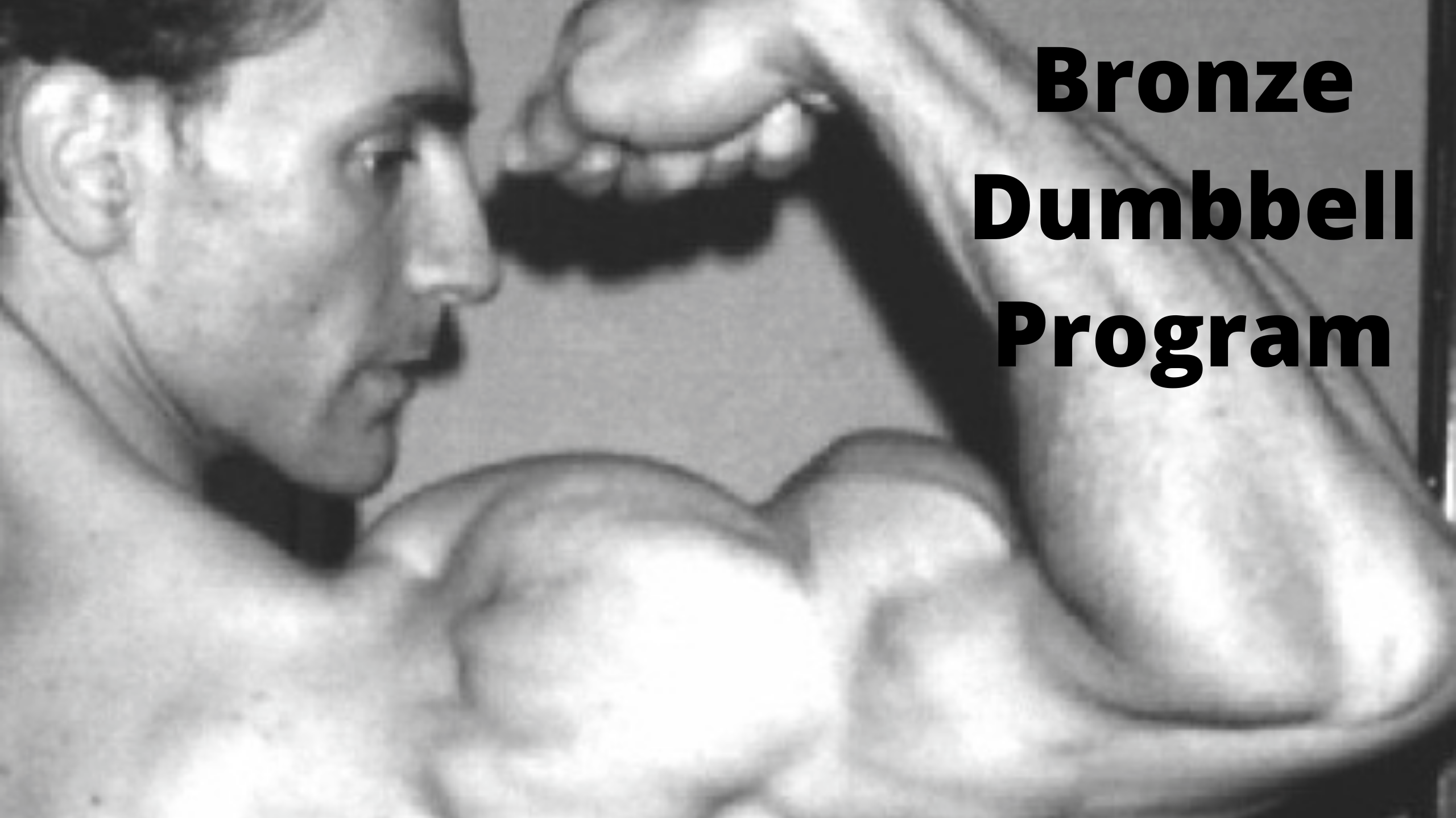 Vicsnatural Bronze Course Dumbbells